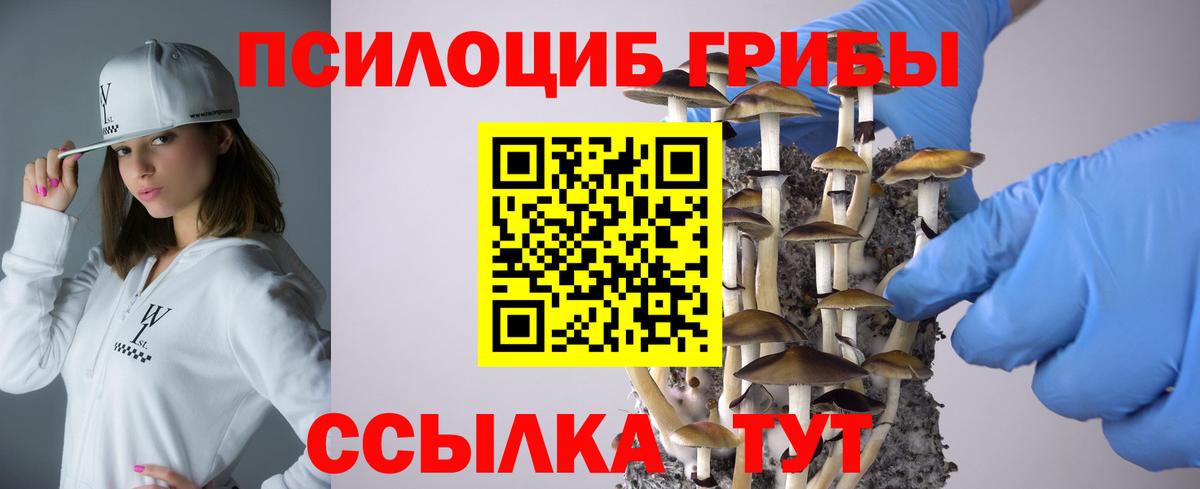 Алексеевка  Псилоцибиновые грибы Psilocybine cubensis  закладка  Вход с VPN 