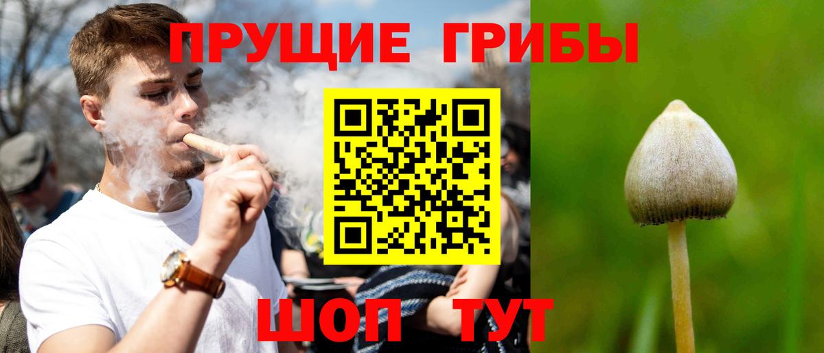 Галлюциногенные грибы GOLDEN TEACHER Алексеевка